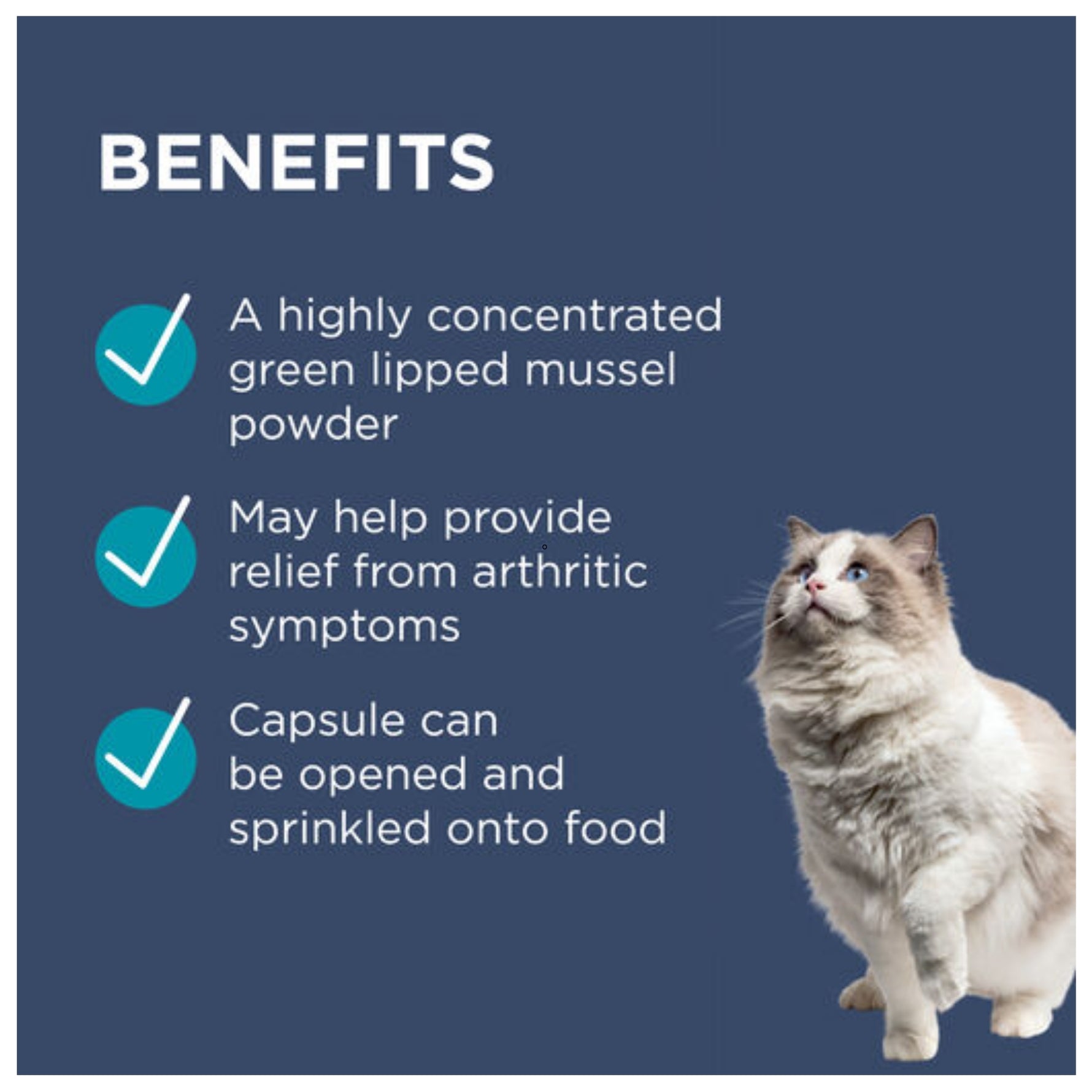 PAW OsteoSupport Joint Care Powder for Cats 60's