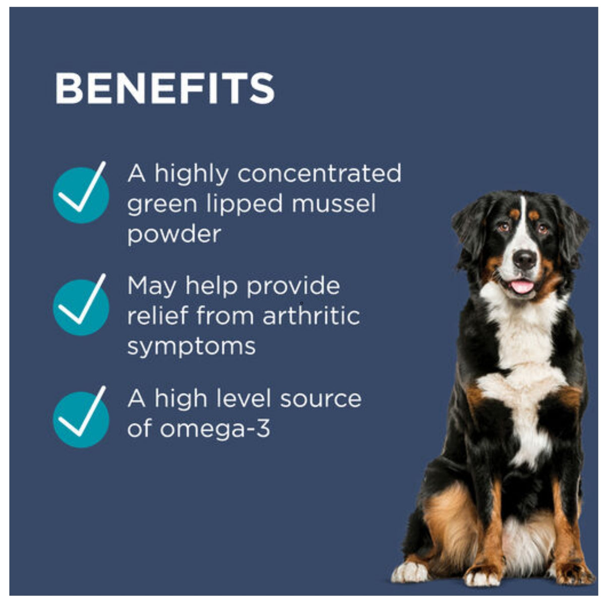 PAW OsteoSupport Joint Care Powder for Dogs