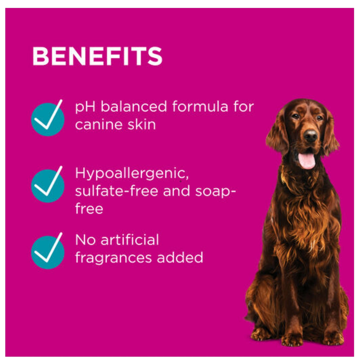 PAW Sensitive Skin Range for Dogs