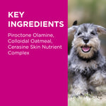 PAW MediDerm/NutriDerm Infected Skin Shampoo & Conditioner Duo Pack