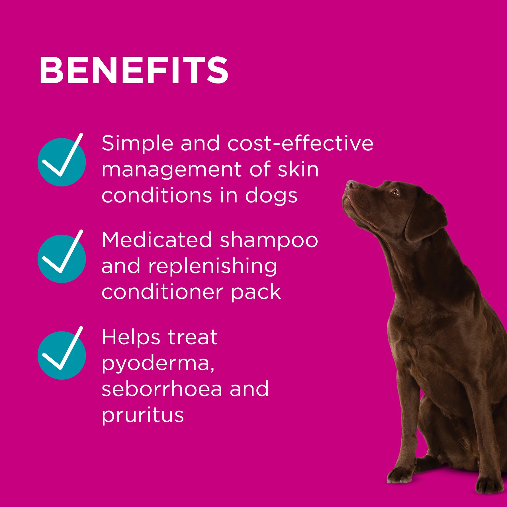 PAW MediDerm/NutriDerm Infected Skin Shampoo & Conditioner Duo Pack