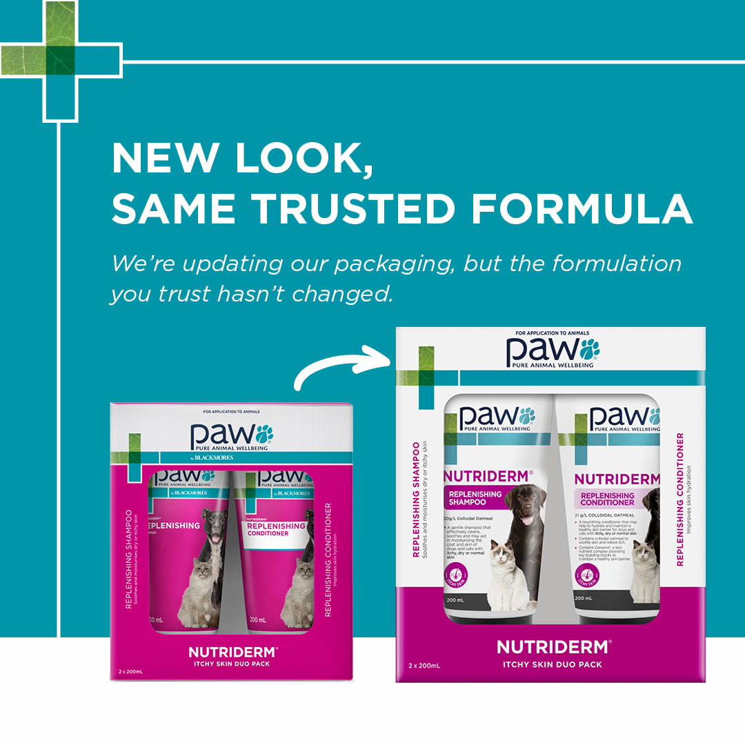 PAW NutriDerm Itchy Skin Duo Pack