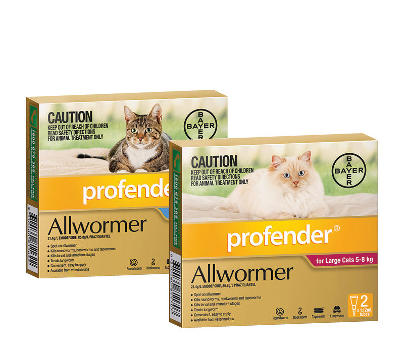 Worm Treatments For Cats and Kittens