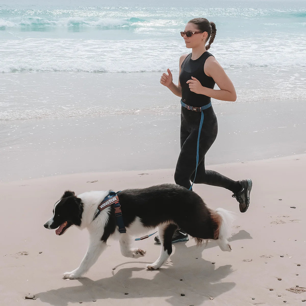EzyDog Road Runner Leash