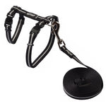 Rogz Alley Cat Harness & Lead