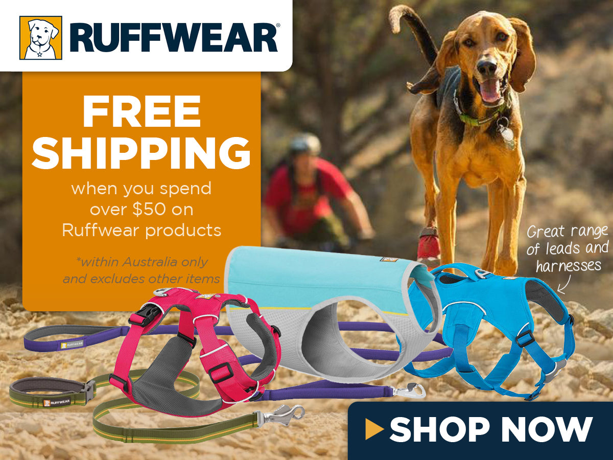 Ruffwear Adventure Gear for Dogs
