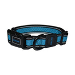 Scream Reflective Adjustable Dog Collar