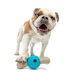 Guru Spin and Chew Bone