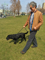 Sporn Ultimate Control Harness