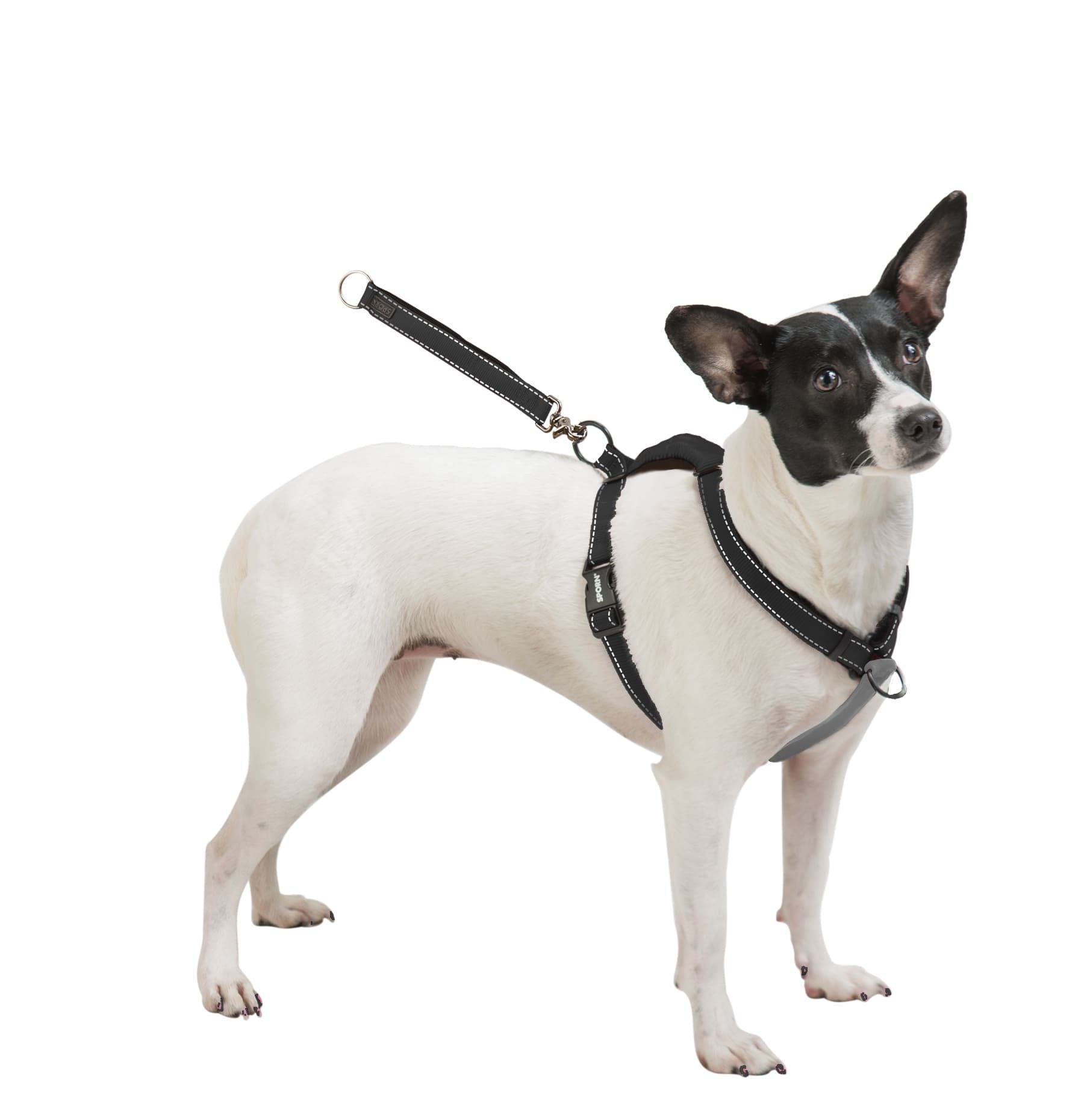 Sporn Ultimate Control Harness