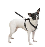 Sporn Ultimate Control Harness