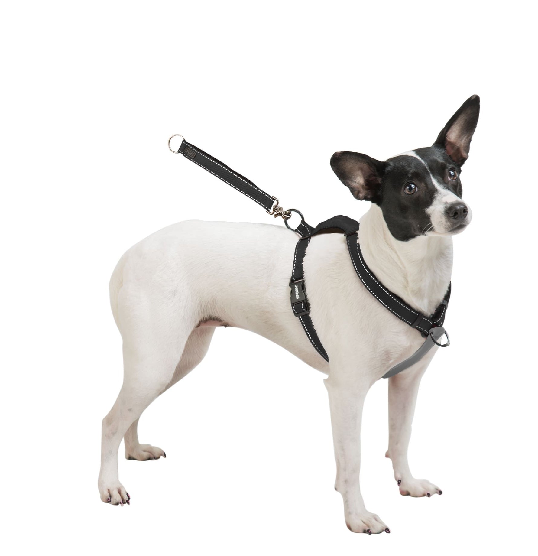 Sporn Ultimate Control Harness