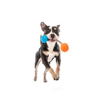 Guru Squeaking Rope