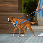 Rogz Utility Stop-Pull Harness