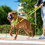 Rogz Utility Stop-Pull Harness