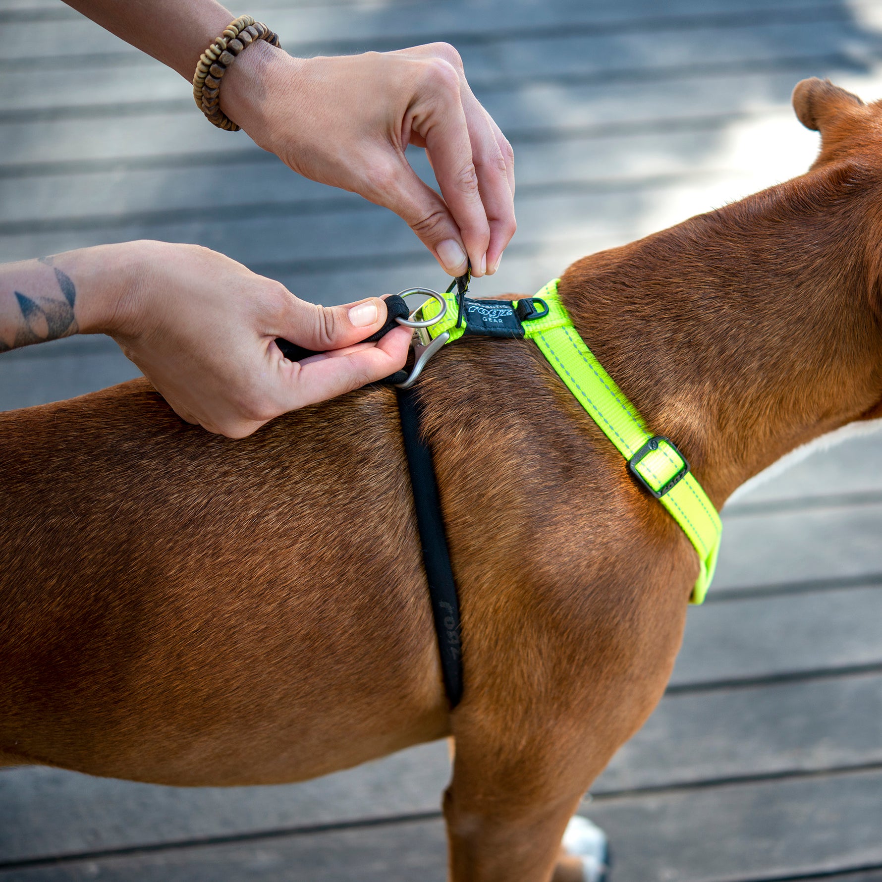 Rogz Utility Stop-Pull Harness