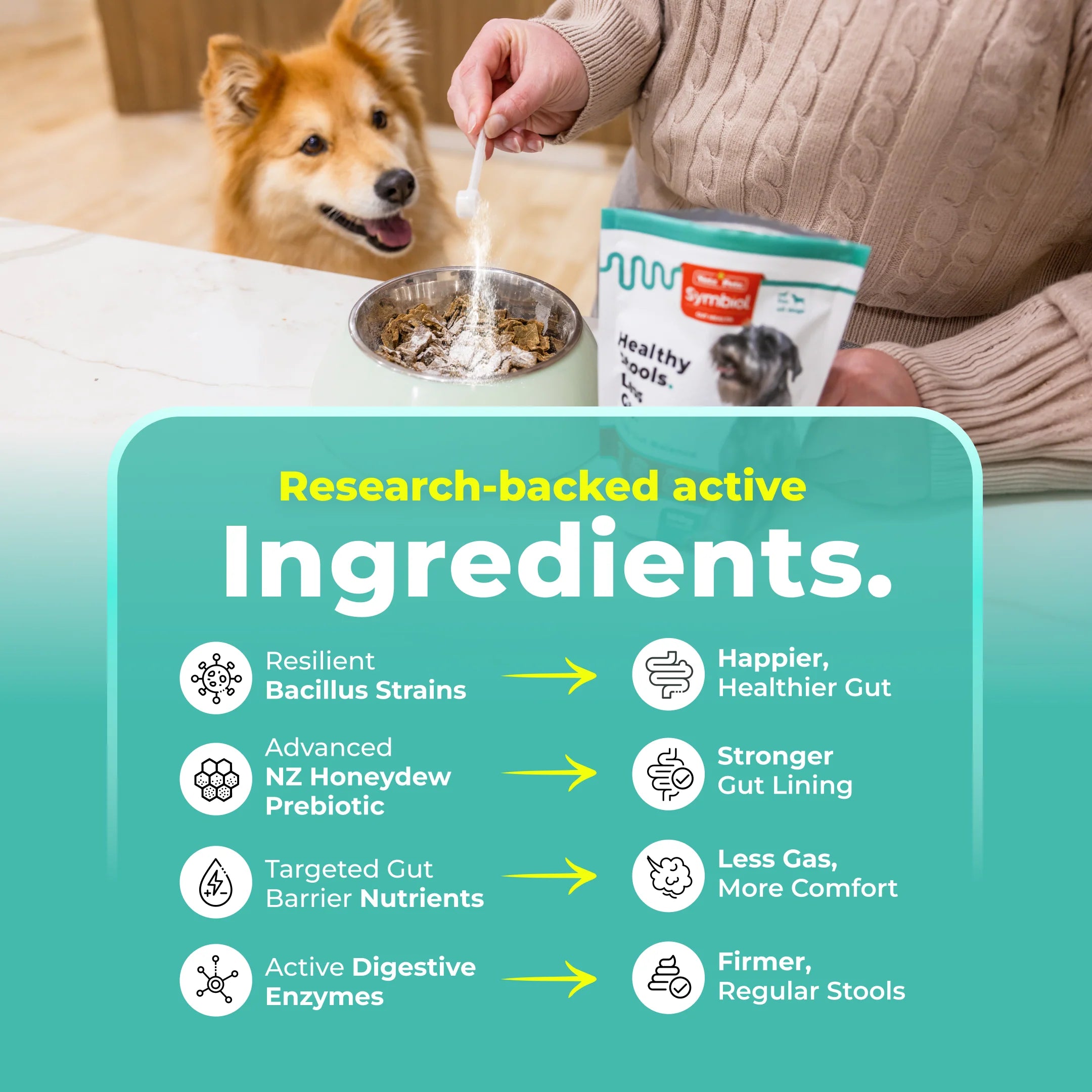 Image alt