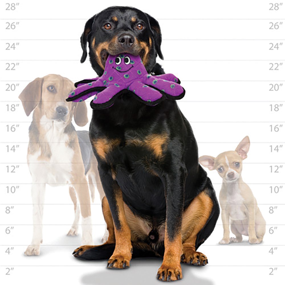 Tuffy LIL Oscar Small Octopus