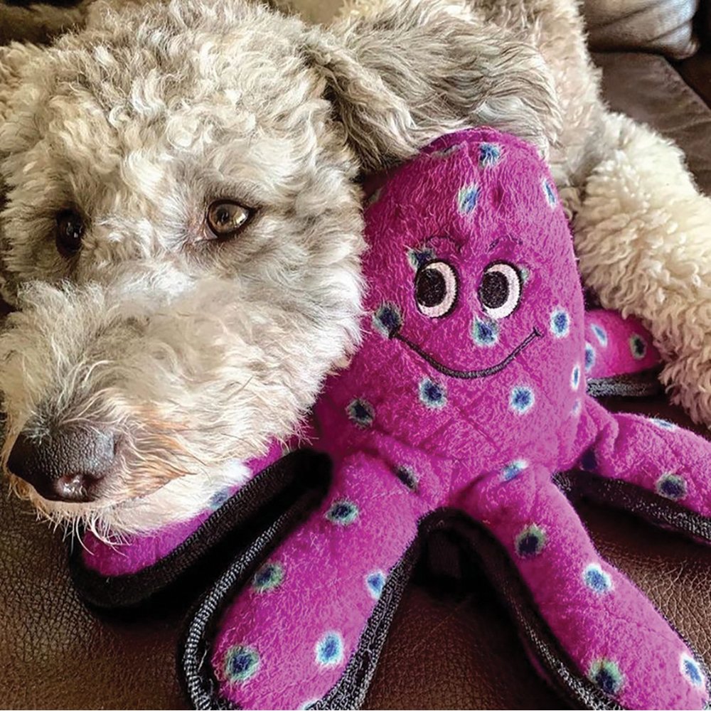 Tuffy LIL Oscar Small Octopus