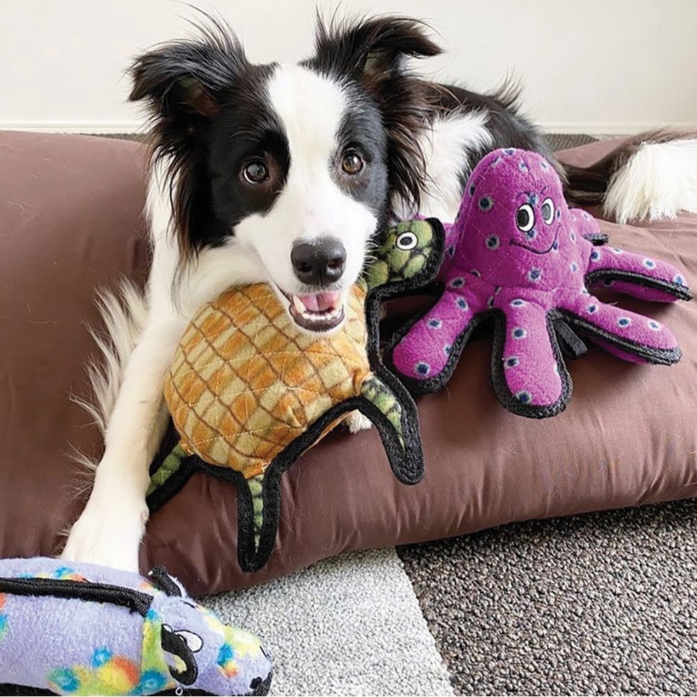 Tuffy LIL Oscar Small Octopus