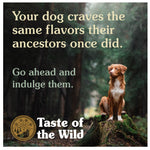 Taste of the Wild Pacific Stream Salmon in Gravy Adult Wet Dog Food Can 390g x 12