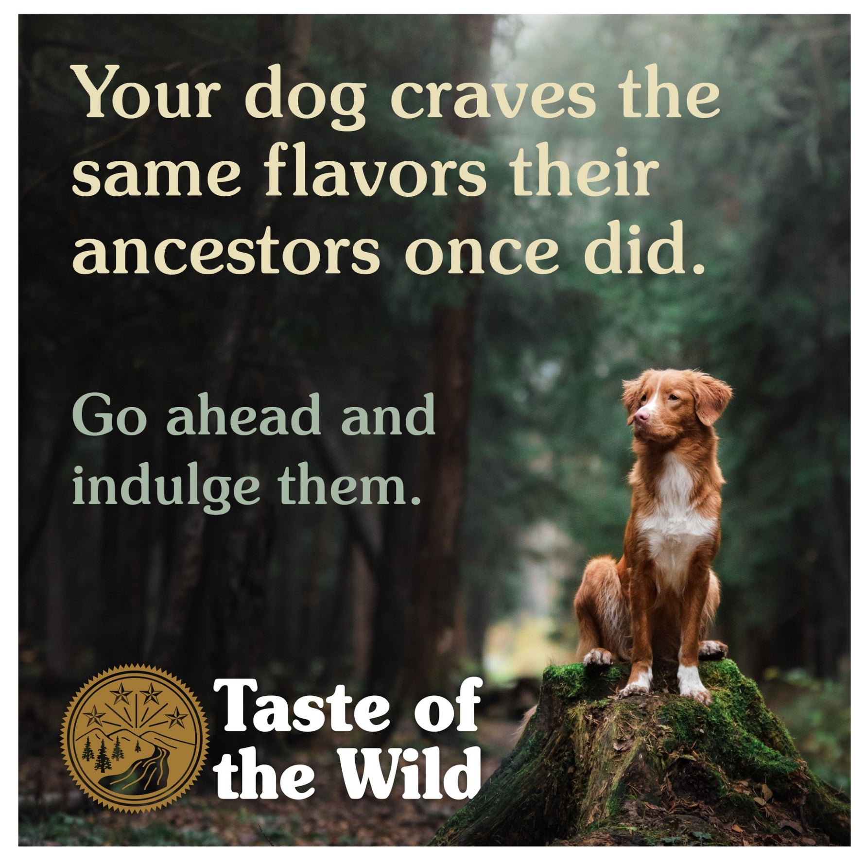 Taste of the Wild Pacific Stream Salmon in Gravy Adult Wet Dog Food Can 390g x 12