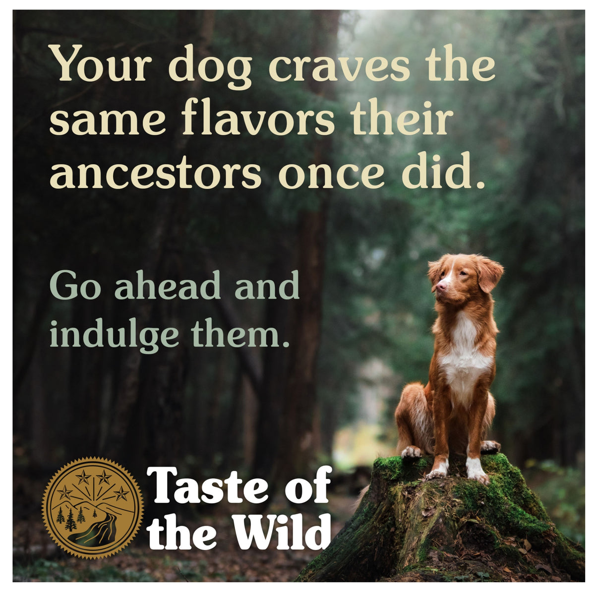 Taste of the Wild Pacific Stream Salmon in Gravy Adult Wet Dog Food Can 390g x 12