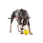 Guru Tennis Treat Ball