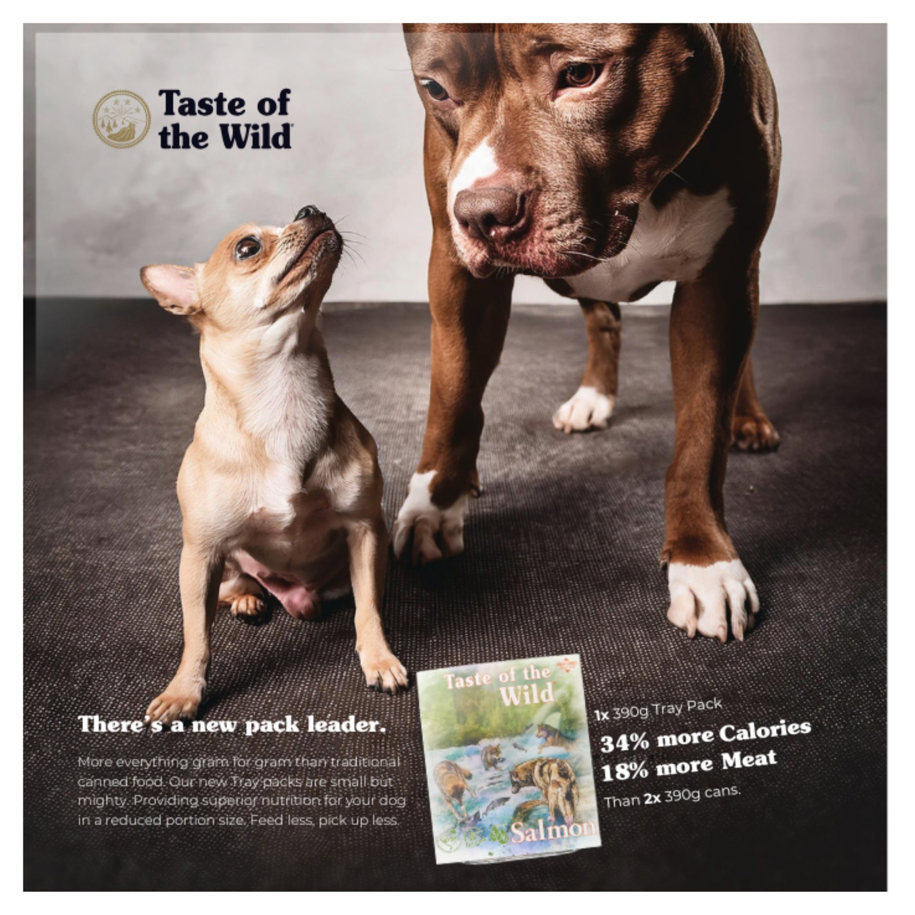 Taste of the Wild Salmon & Herring with Fruit & Vegetables Adult Wet Dog Tray 390g X 7