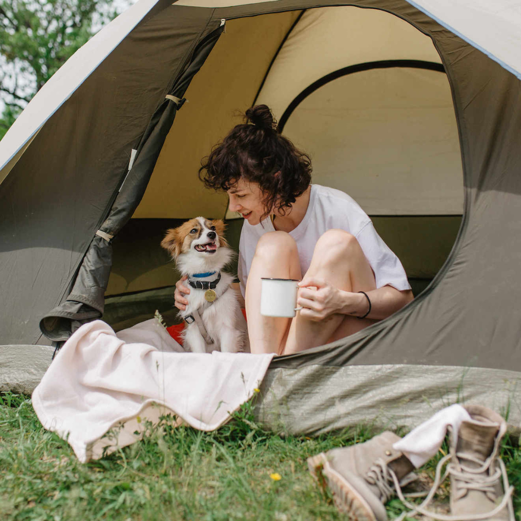 camping with your dog