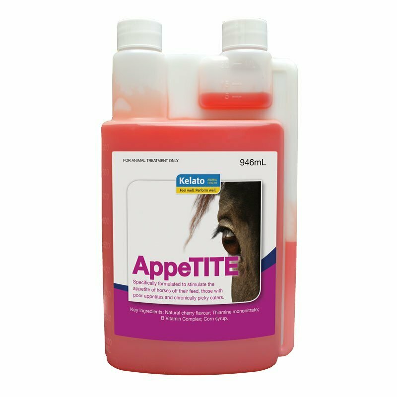 Horse Appetite Supplements