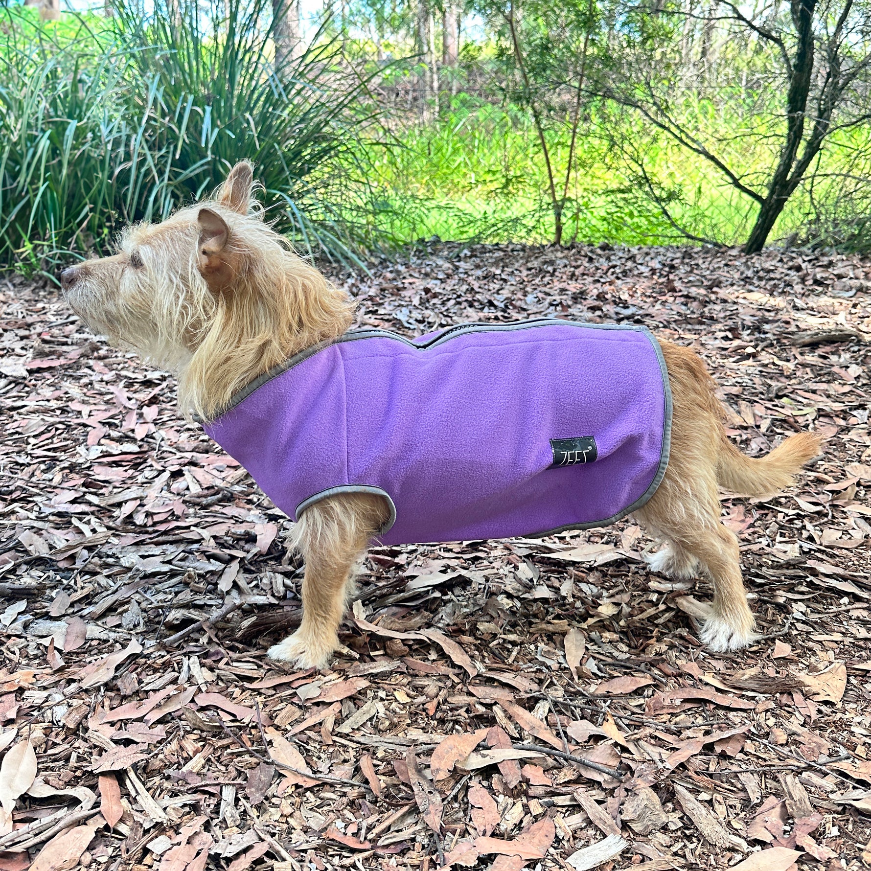 ZeeZ Cozy Fleece Dog Vest - Pearly Purple