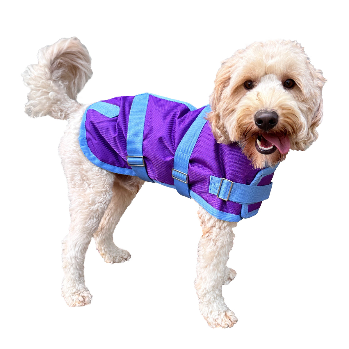 ZeeZ Supreme Dog Coat - Grape Purple/Blue
