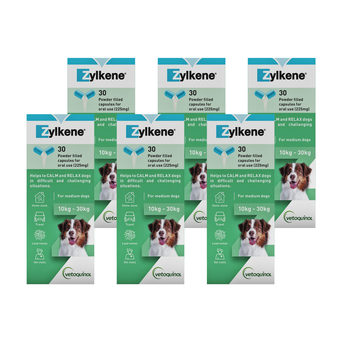Zylkene Nutritional Supplement Value Bundles