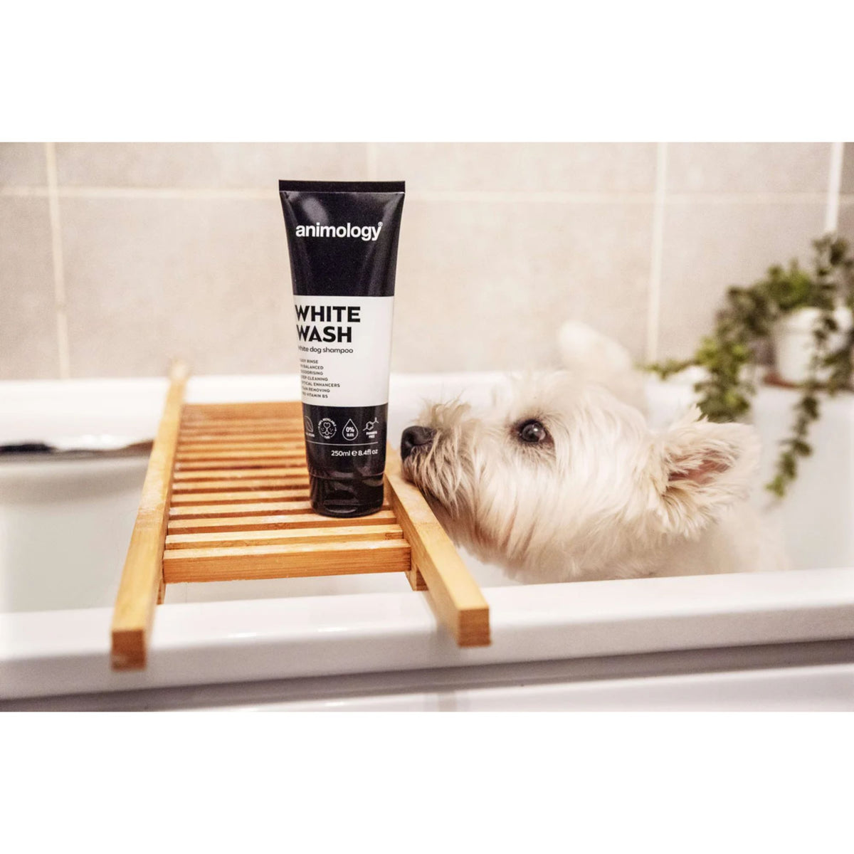 Animology White Wash White Dog Shampoo 250mL
