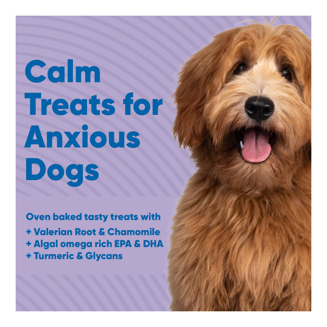 Anipal Calm Treats for Anxious Dogs  130g