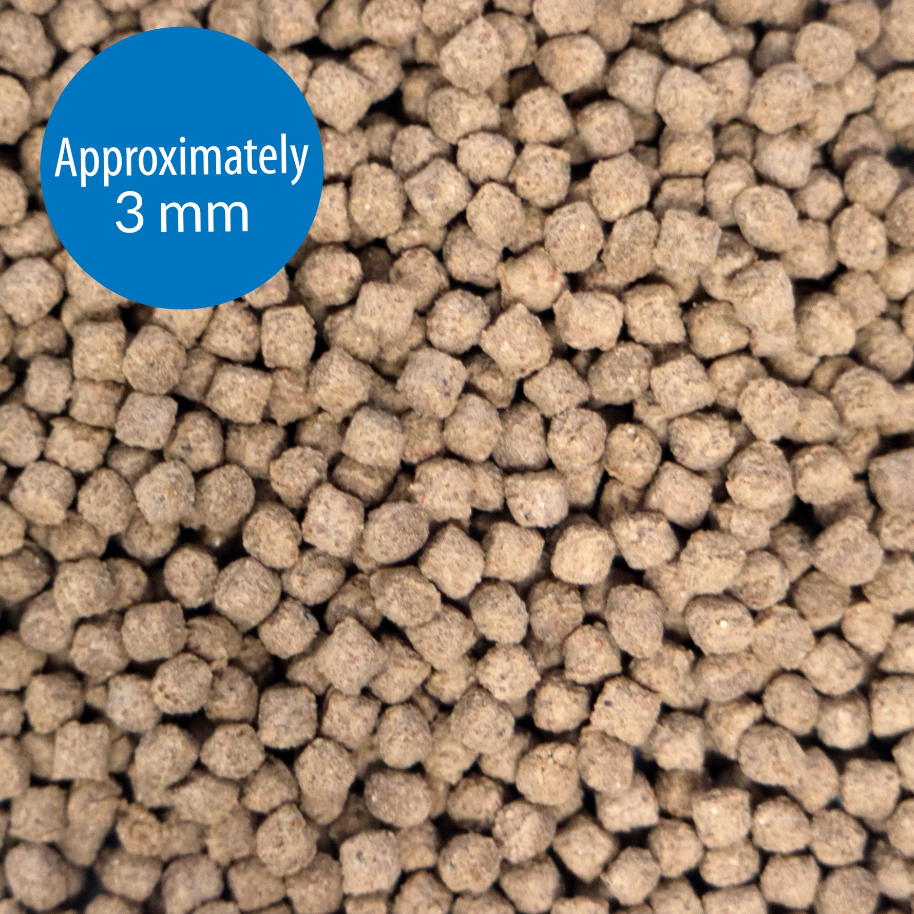 API Bottom Feeder Pellets With Squid Fish Food