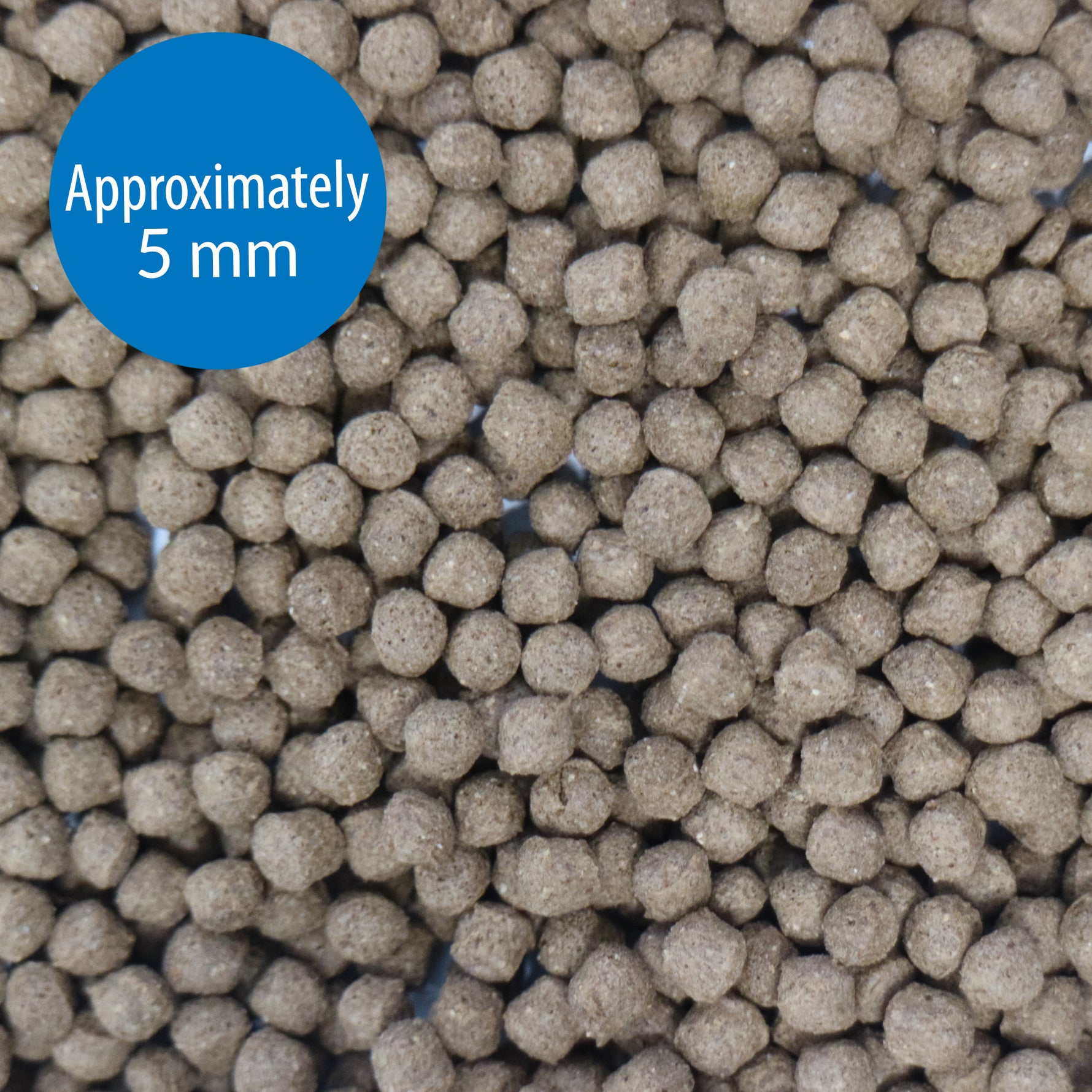 API Cichlid Large Pellets Fish Food