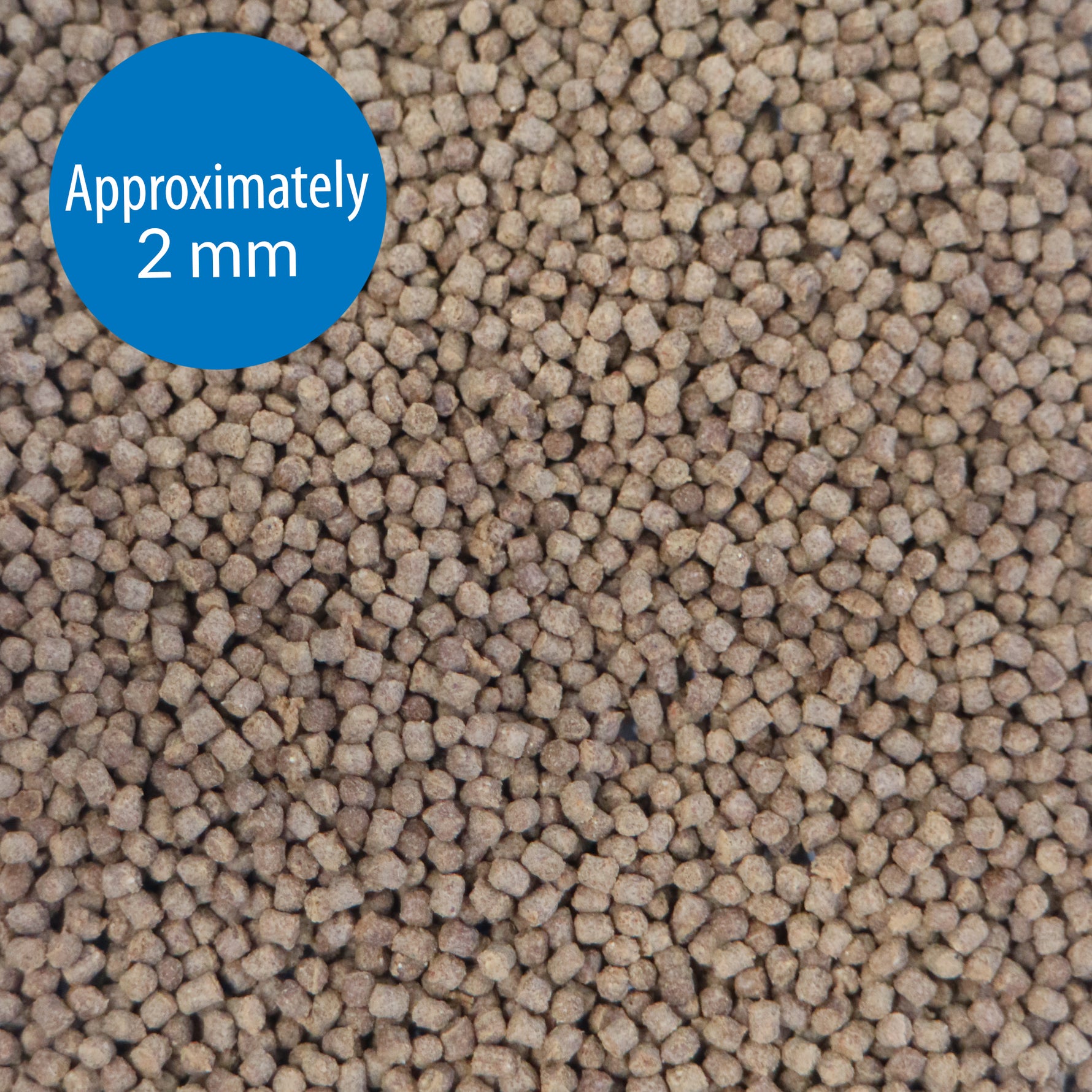 API Cichlid Medium Pellets Fish Food