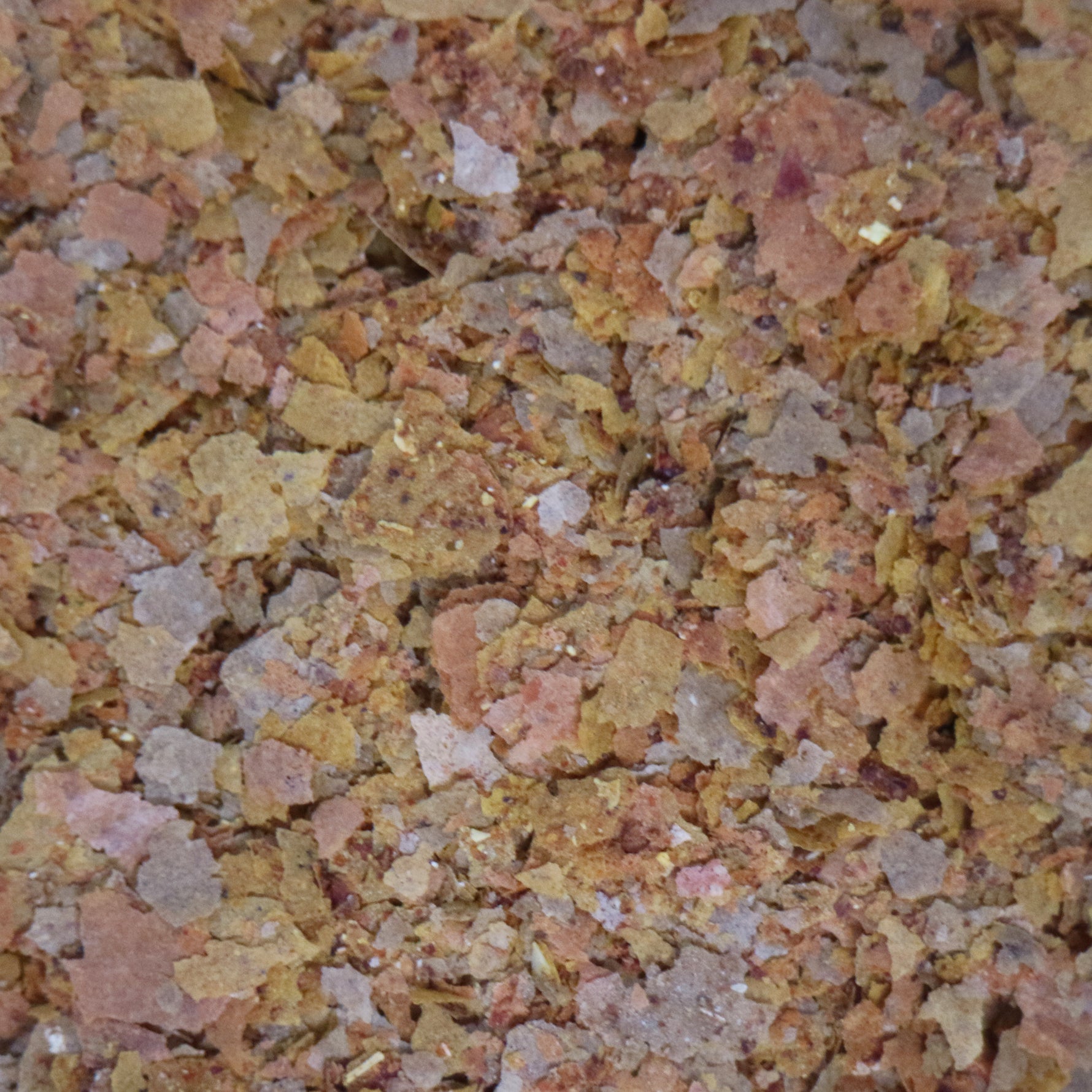 API Tropical Flakes Fish Food