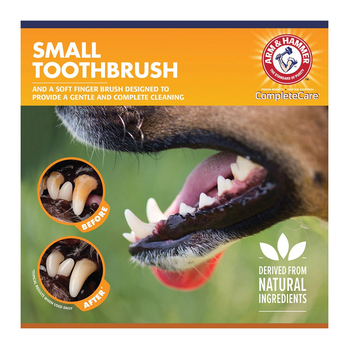 Arm & Hammer Complete Care Dental Kit for Dogs