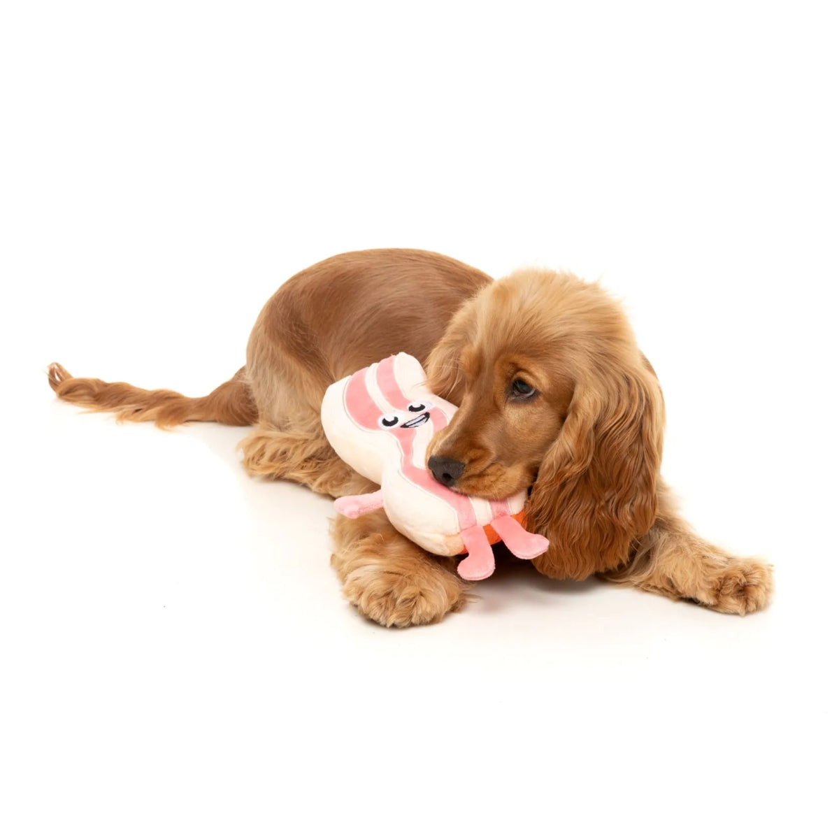 FuzzYard Meat Heads - Kevin Bacon-Strip