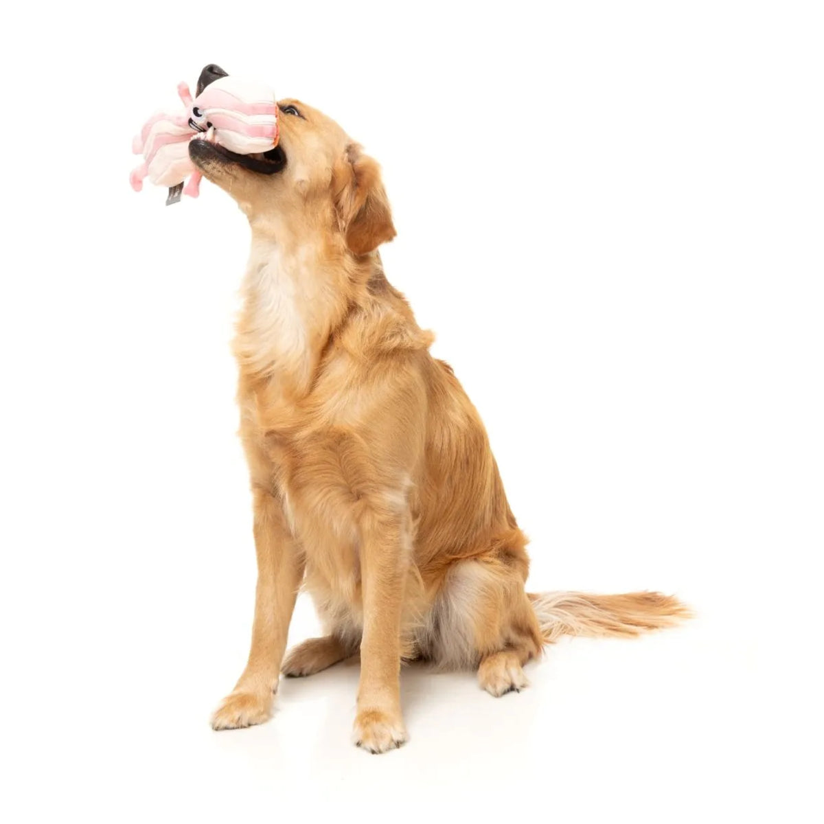 FuzzYard Meat Heads - Kevin Bacon-Strip