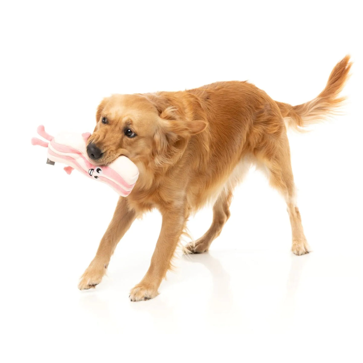 FuzzYard Meat Heads - Kevin Bacon-Strip