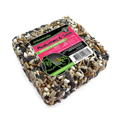 Bainbridge Mealworms &amp; Seeds Treat Block