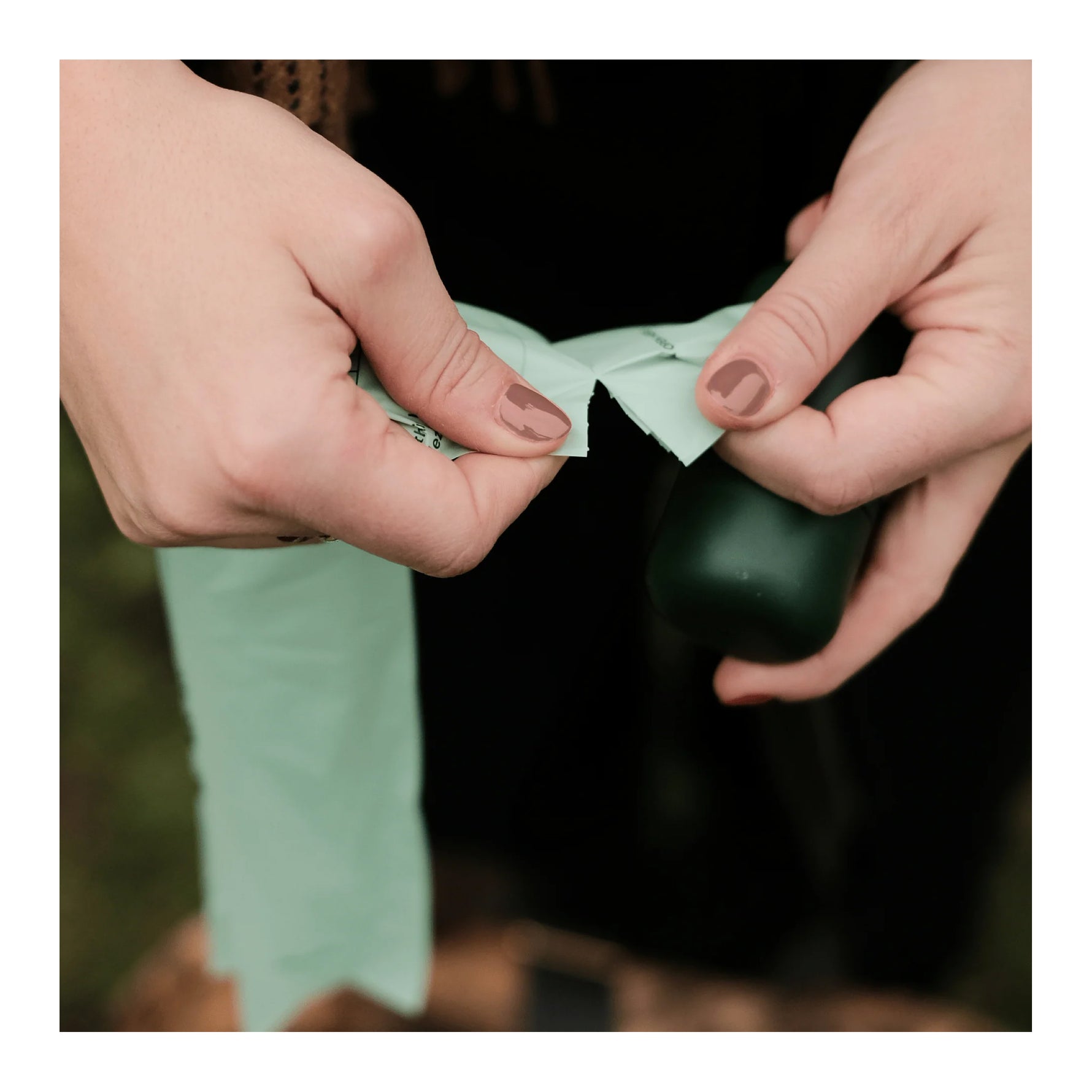 Beco Mint Scented Poop Bags - Large 60 Pack
