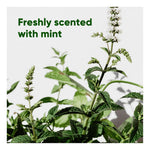 Beco Mint Scented Poop Bags - Large 60 Pack
