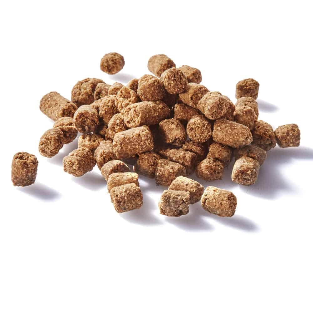 CLEAR Dog Treats Beef Training Bites