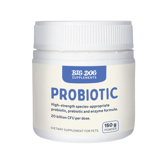 Digestive Health Supplements for Dogs