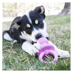 KONG Puppy Binkie